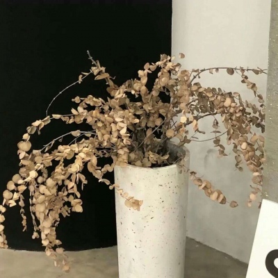 兽设动态构图思路福瑞交流群